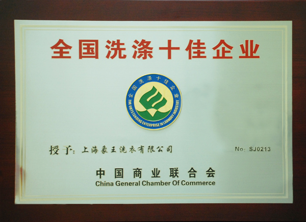 全國(guó)洗滌十佳企業(yè)